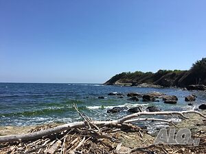 image_15