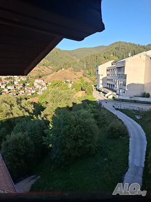 image_11