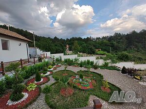 image_17