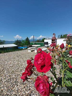 image_26