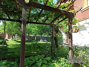 image_21