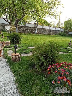 image_40