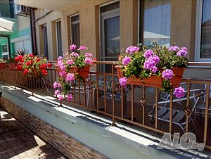 image_8