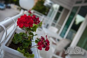 image_14