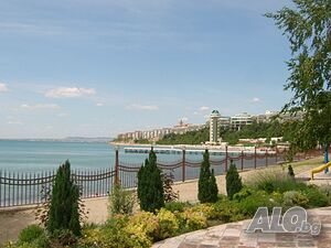 image_6