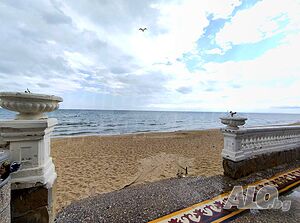 image_6