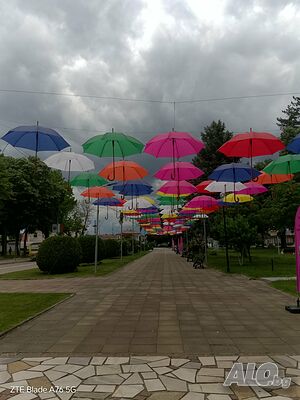 image_29