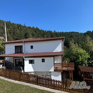 image_19