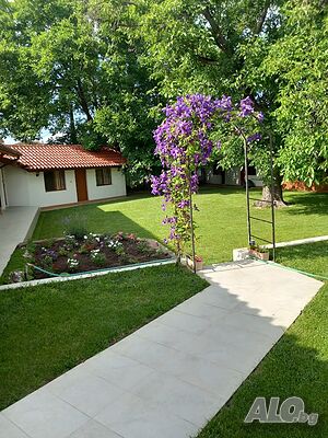 image_17