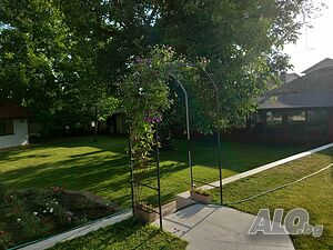 image_21