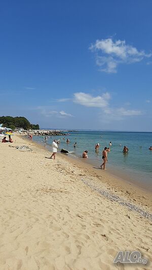 image_12
