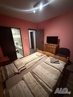 Стая под наем Стаи под наем