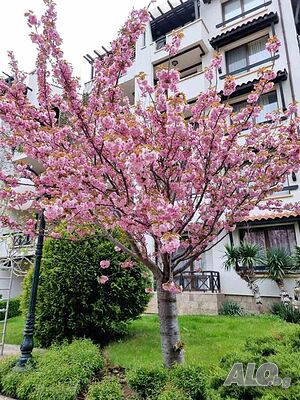 image_22