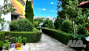 image_24