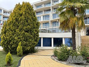 image_39