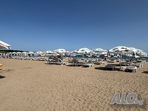 image_36