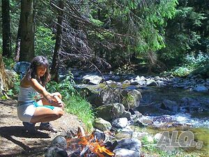 image_35