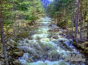 image_34