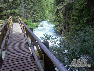 image_36