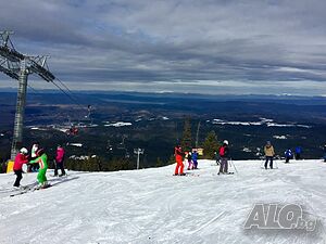image_41
