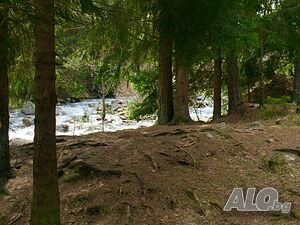 image_37