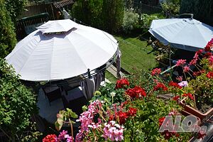 image_11