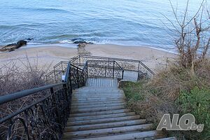 image_19