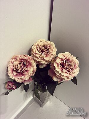 image_24