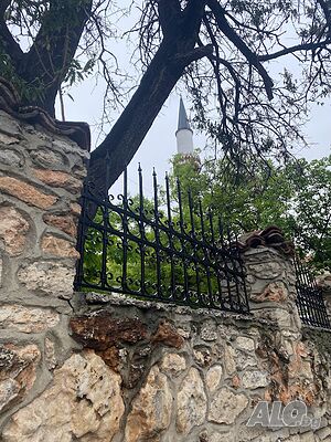 image_31