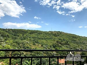 image_55