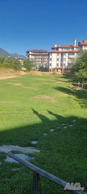 image_11