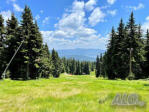 image_23