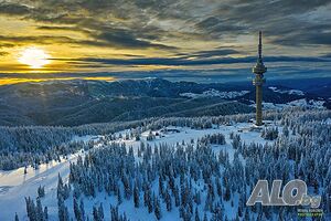 image_21