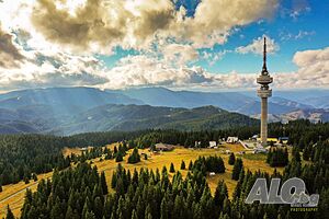 image_22