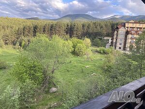 image_12