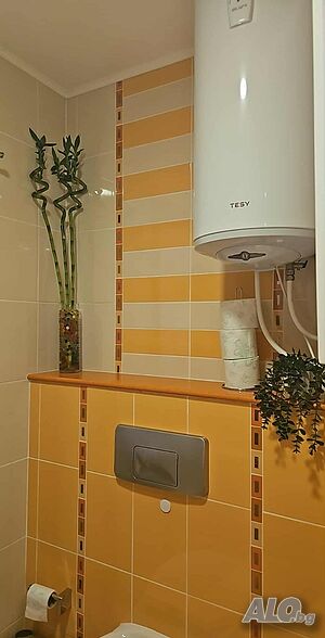 image_8