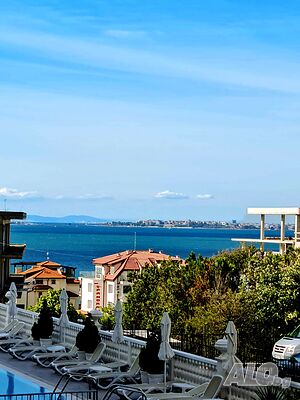 image_41