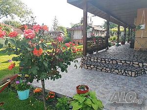 image_6