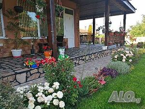 image_10
