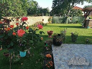 image_11