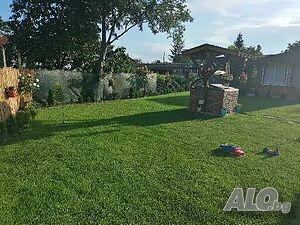image_15