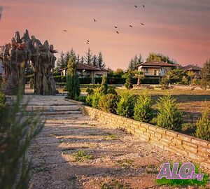 image_22