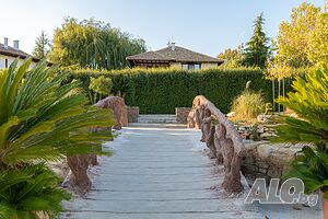 image_23