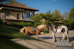 image_27