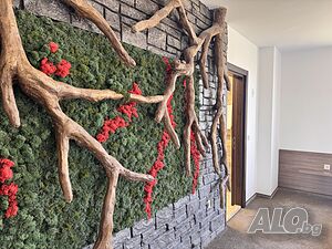 image_11