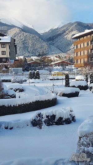 image_23