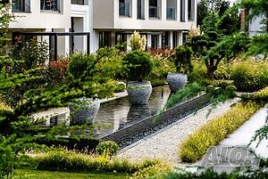 image_25