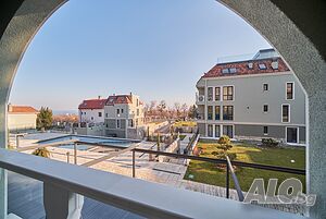 image_19