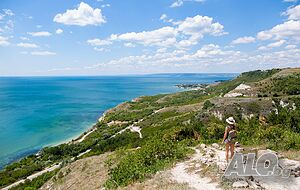 image_31