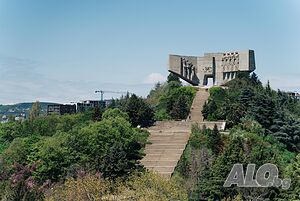 image_25
